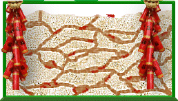 Click here to magnify your view on The Ant Farm and to continue.